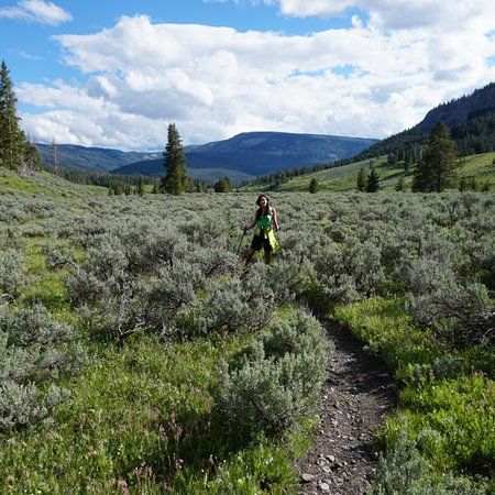 Daly Creek Trail