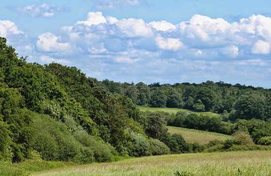 Trent Park