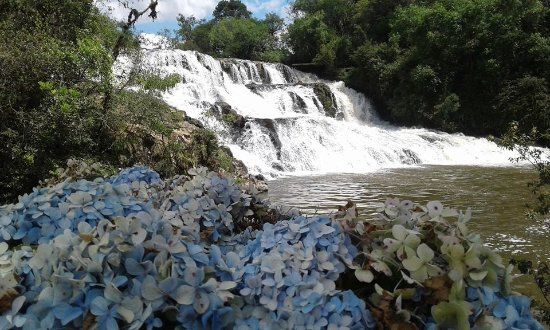 Salto do Engenho