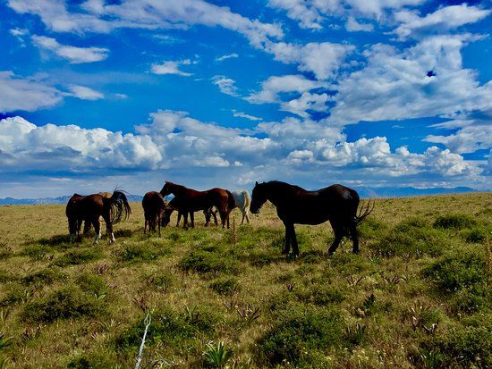 Bill Cody Ranch