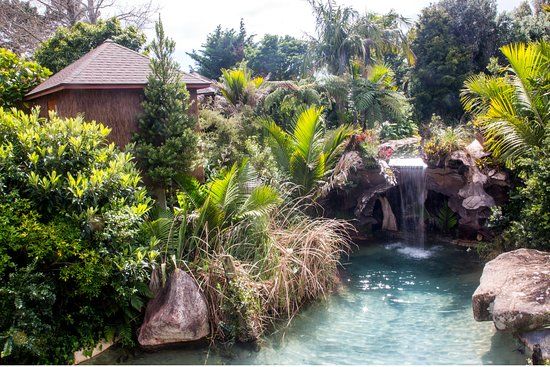 The Lost Spring