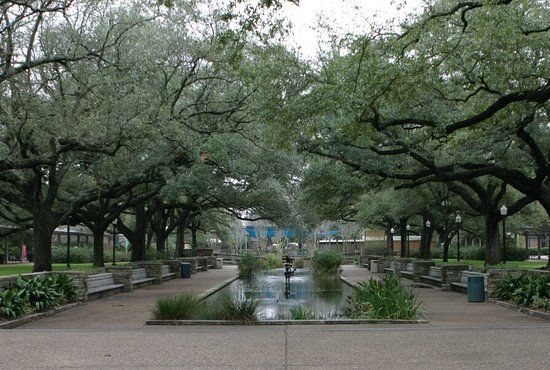 Houston Zoo