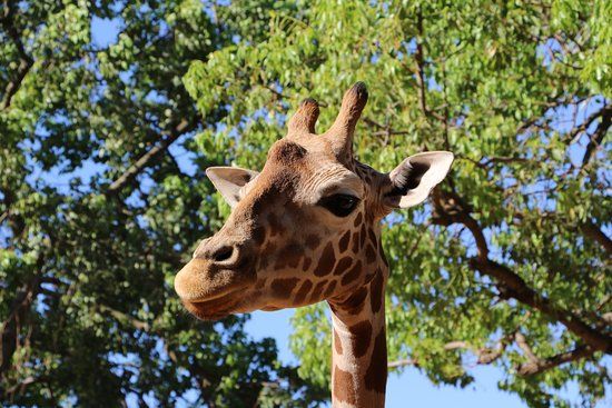 Perth Zoo
