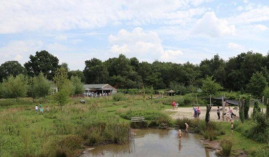 Toon Kortooms Park