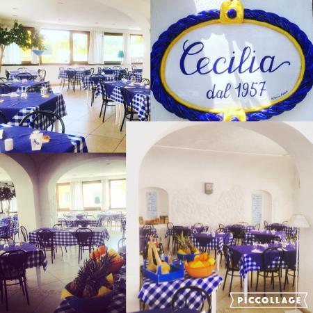 Ristorante Pizzeria Cecilia