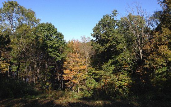 Burr Oak State Park