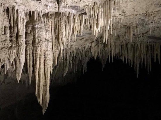 Footwhistle Glowworm Cave