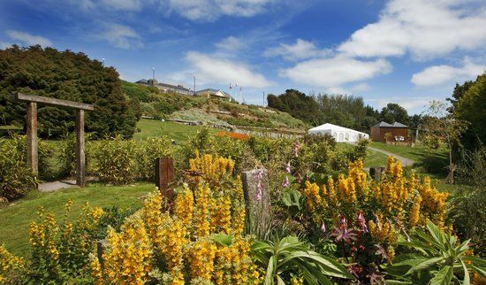 Fernhill Gardens