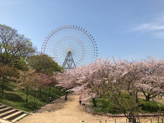 Tempozan Ferris Wheel
