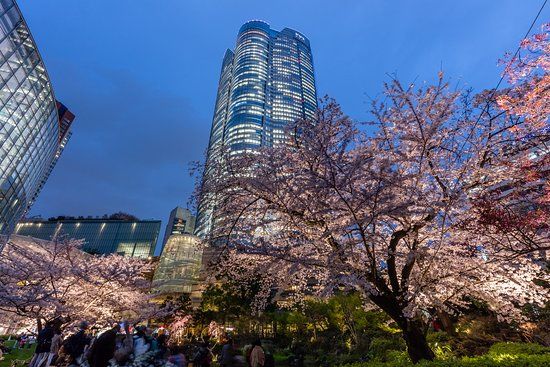 Colinas Roppongi