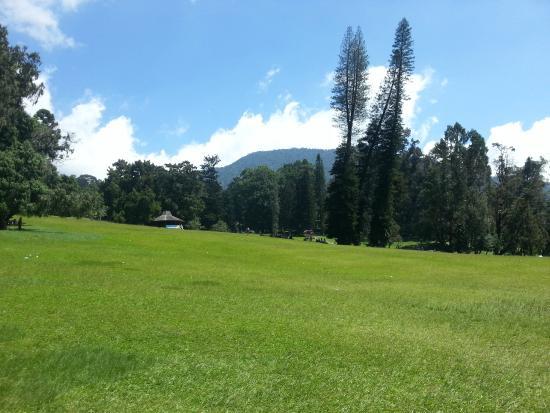 Cibodas Botanical Garden