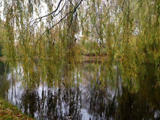 Byparken