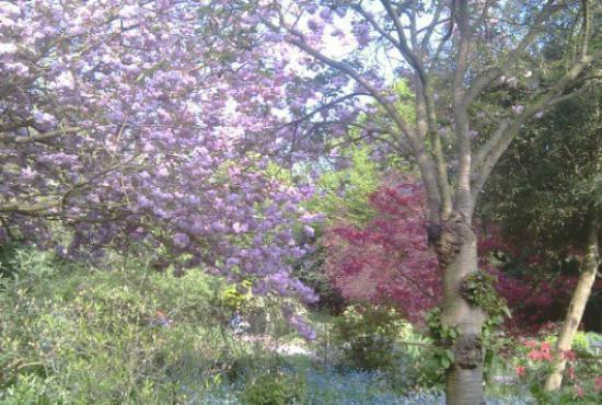 Streatham Common