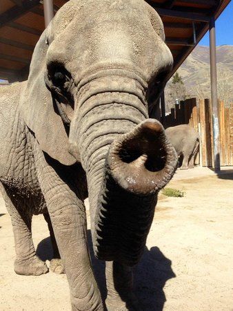Zoológico de Hogle
