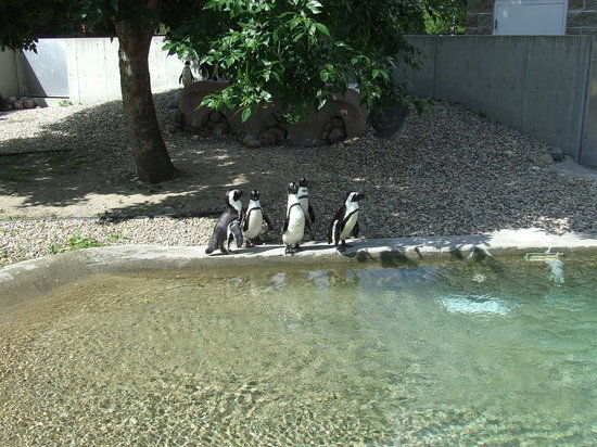 Roosevelt Park Zoo Office