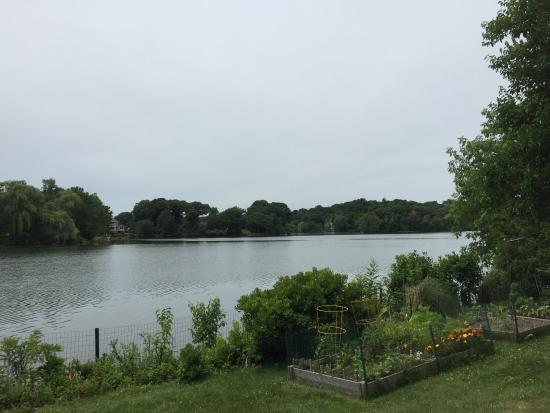 Spy Pond Park