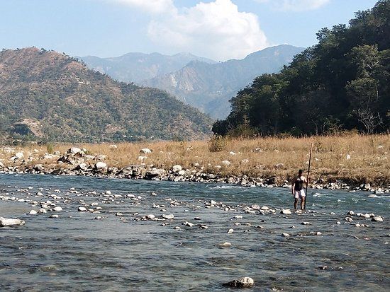 Kosi River