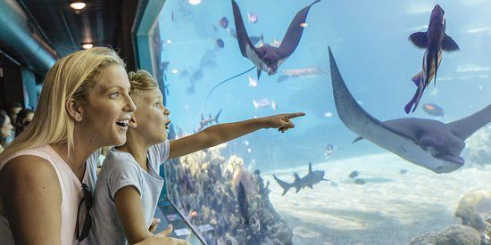 Sea World