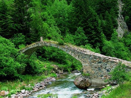 Altindere Vadisi National Park