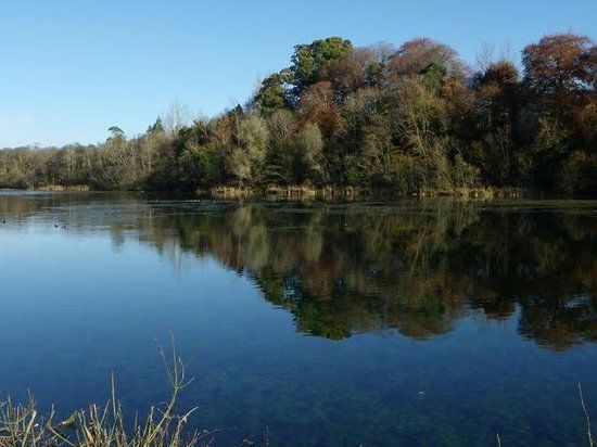 Marfield Lake