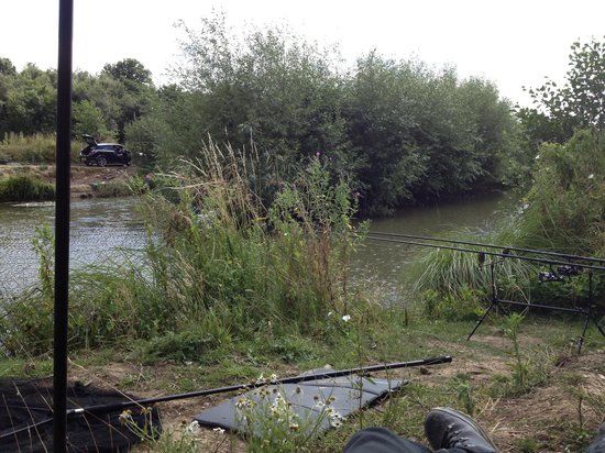 Stub Ponds Fishery
