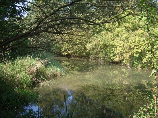 Naturschutzgebiet Taubergiessen
