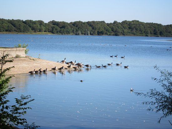 Arlington Reservoir and Nature Reserve