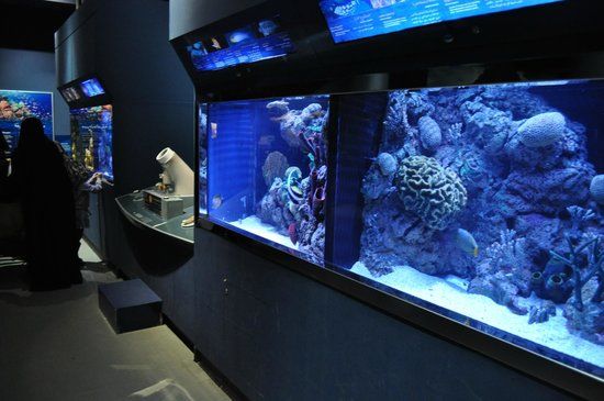 Scitech