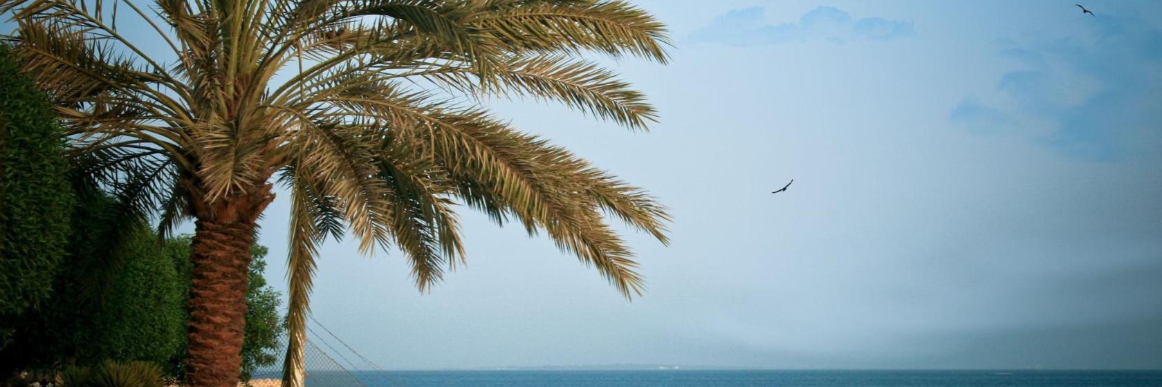 Corniche