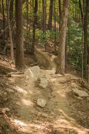 Hobbs Hollow