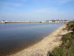 Pagham Lagoon