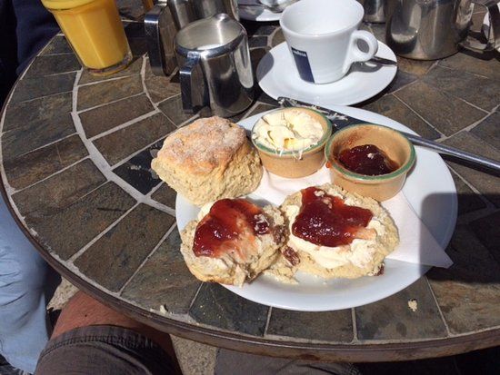 Bean and Scone