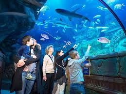 Oceanário Sea Life Jesolo