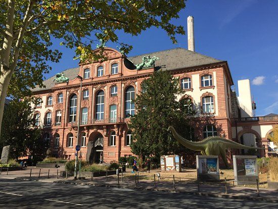 Museo de Senckenberg