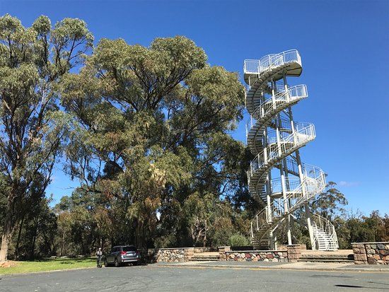 DNA Tower Climb