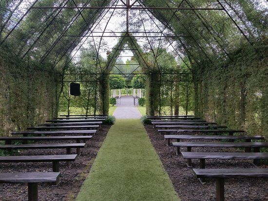 Tree Church
