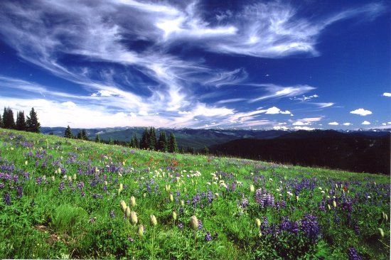 EC Manning Provincial Park