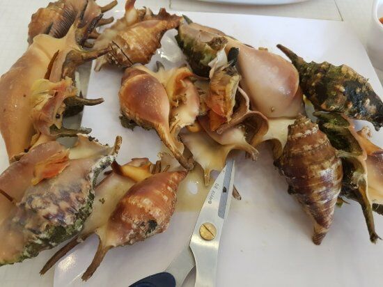 Ace Crab